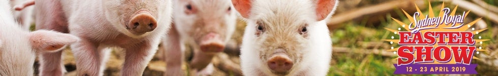 Sydney Royal Easter Show | ShowLink & SkyDeck Reserved Seat Package