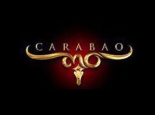 Carabao presale information on freepresalepasswords.com