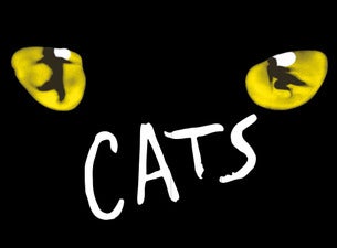 Cats Boletos Cats Boletos