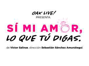 Si Mi Amor Lo Que Tu Digas Boletos Si Mi Amor Lo Que Tu Digas Boletos