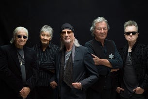 Deep Purple | Comfort Seats