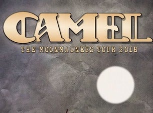 CAMEL - 50 Years Strong, 2023-06-04, Дублин