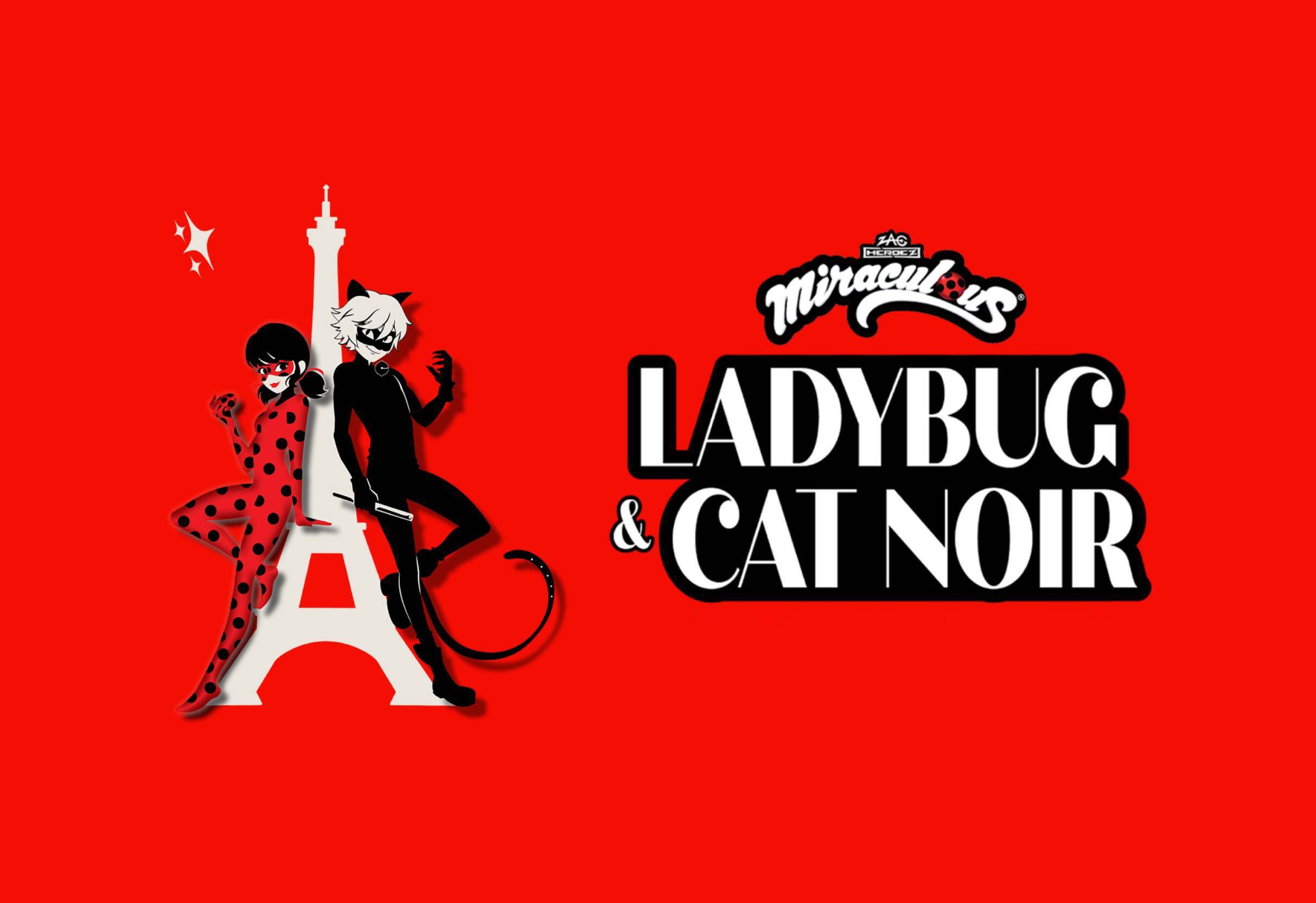 Miraculous Ladybug & Cat Noir: The Live Stage Spectacular event image
