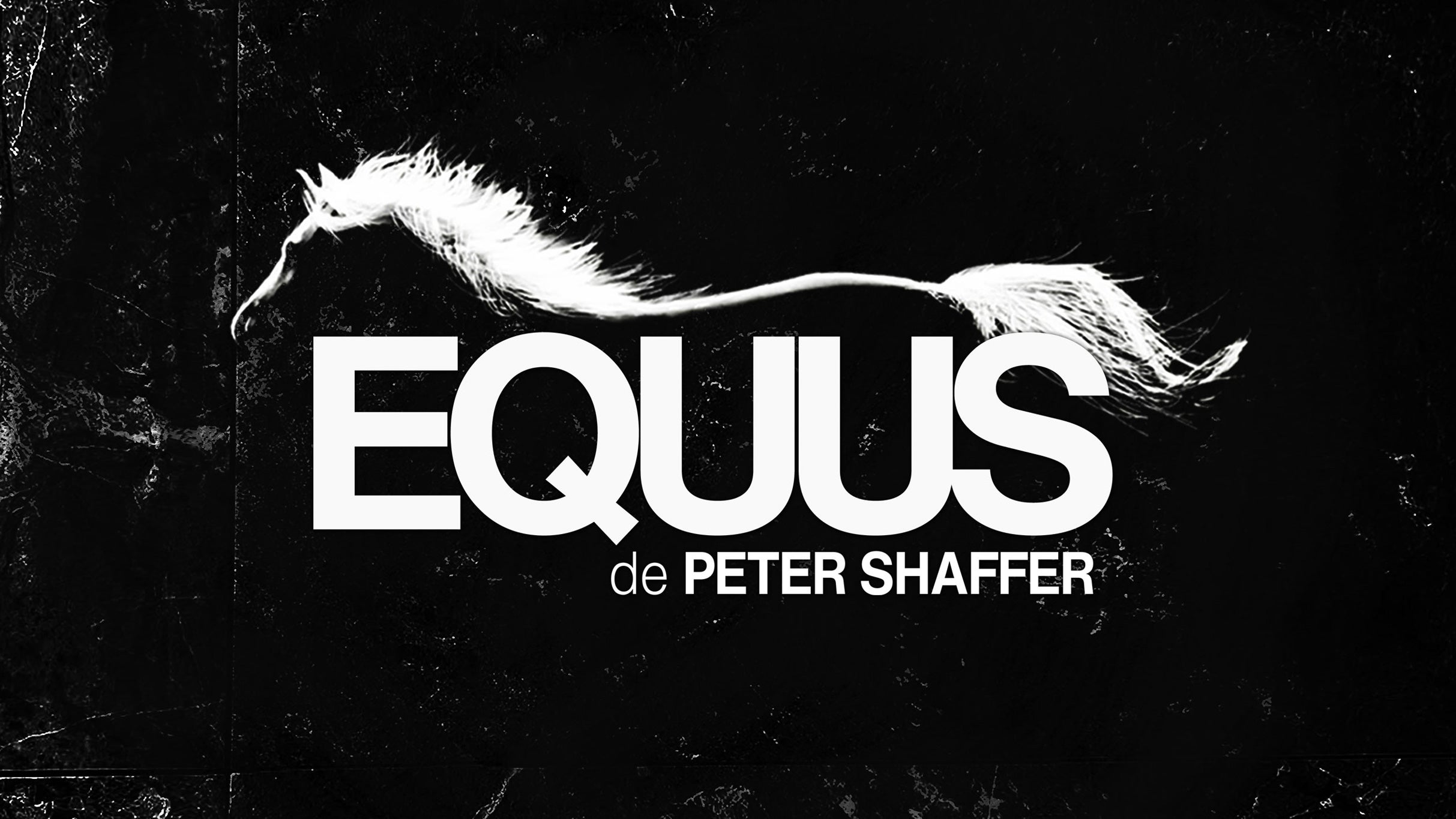 Equus