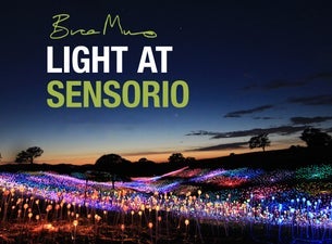 Bruce Munro: Light at Sensorio