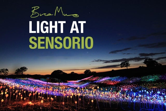 Bruce Munro: Light at Sen­so­rio