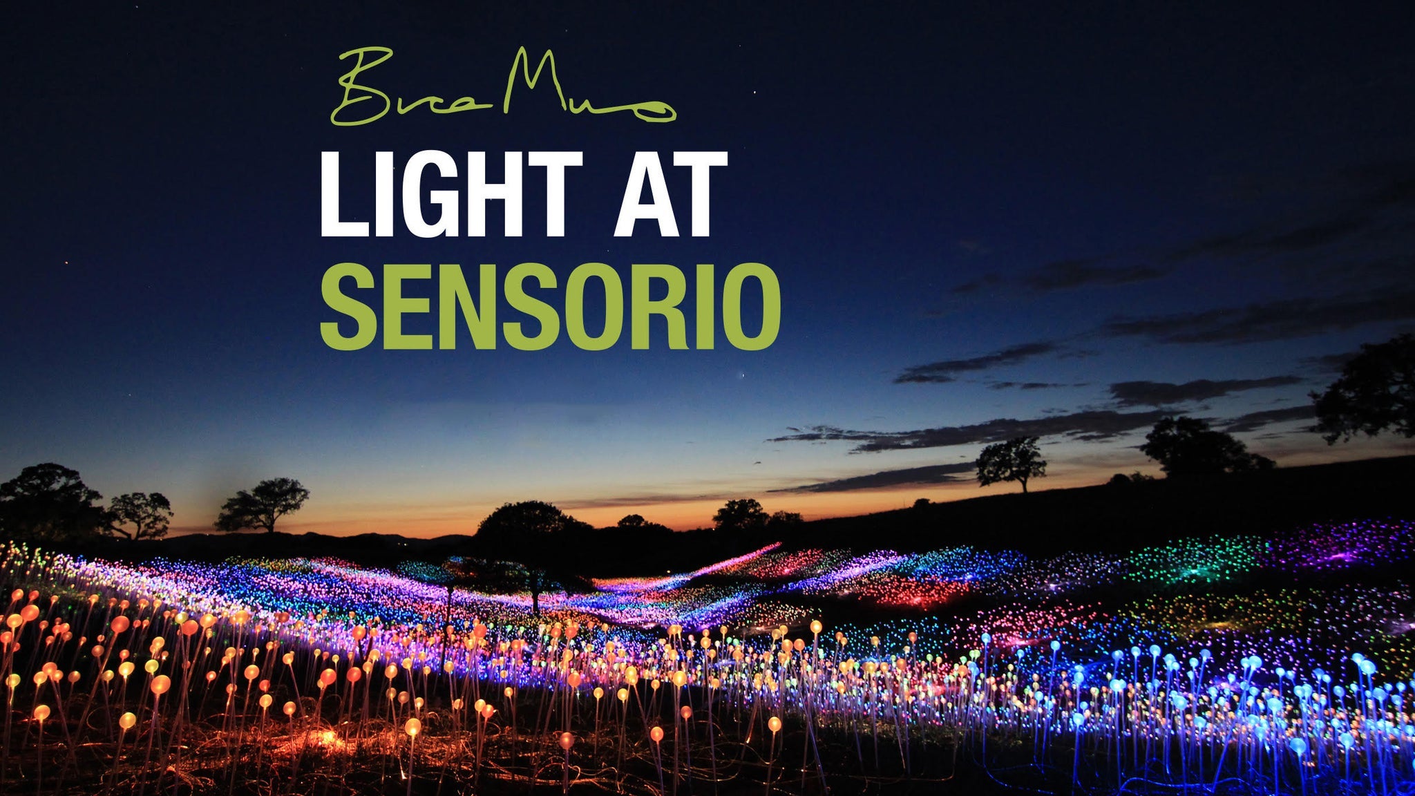Bruce Munro: Light at Sensorio at Sensorio