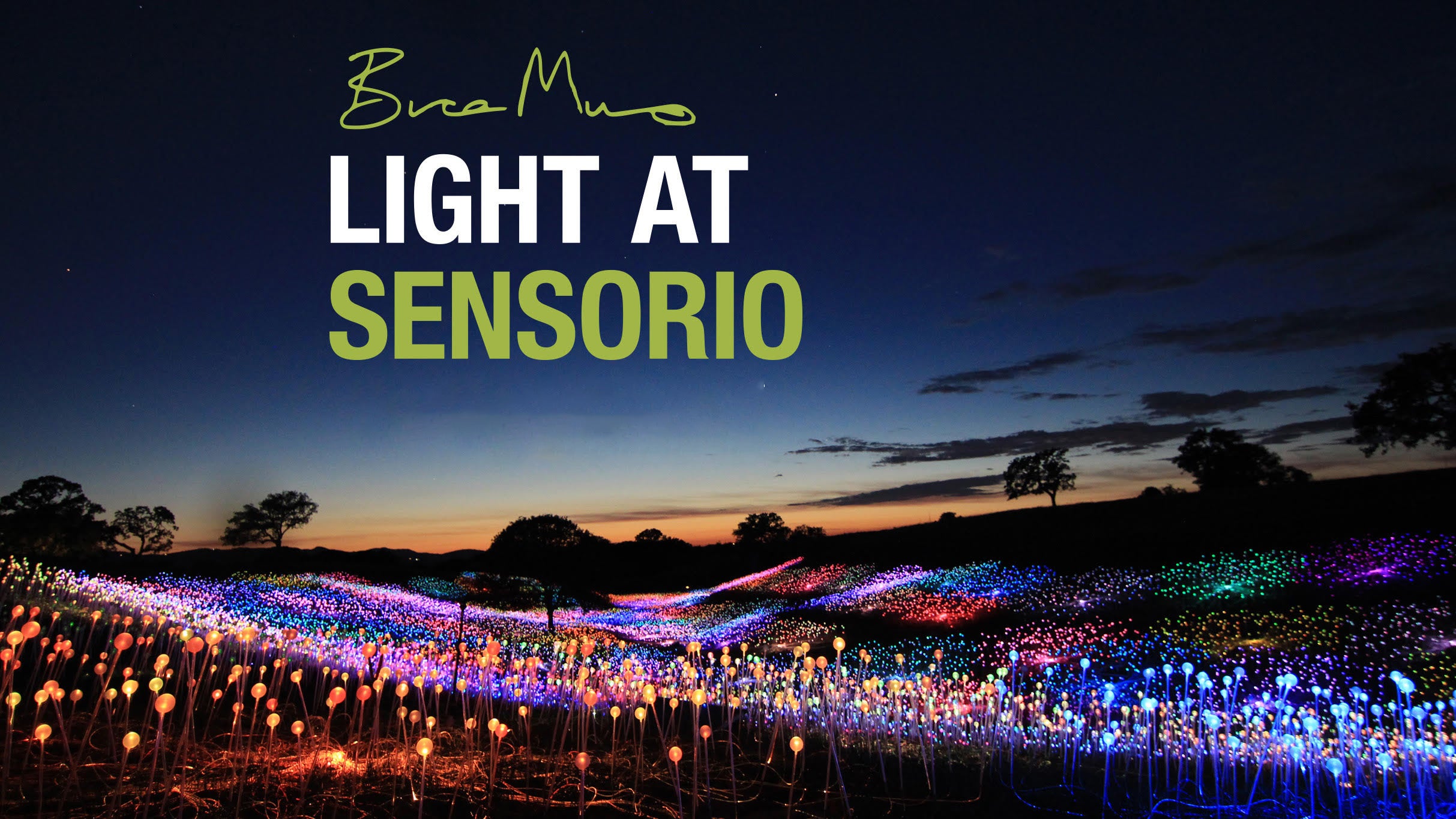 Bruce Munro: Light at Sensorio at Sensorio