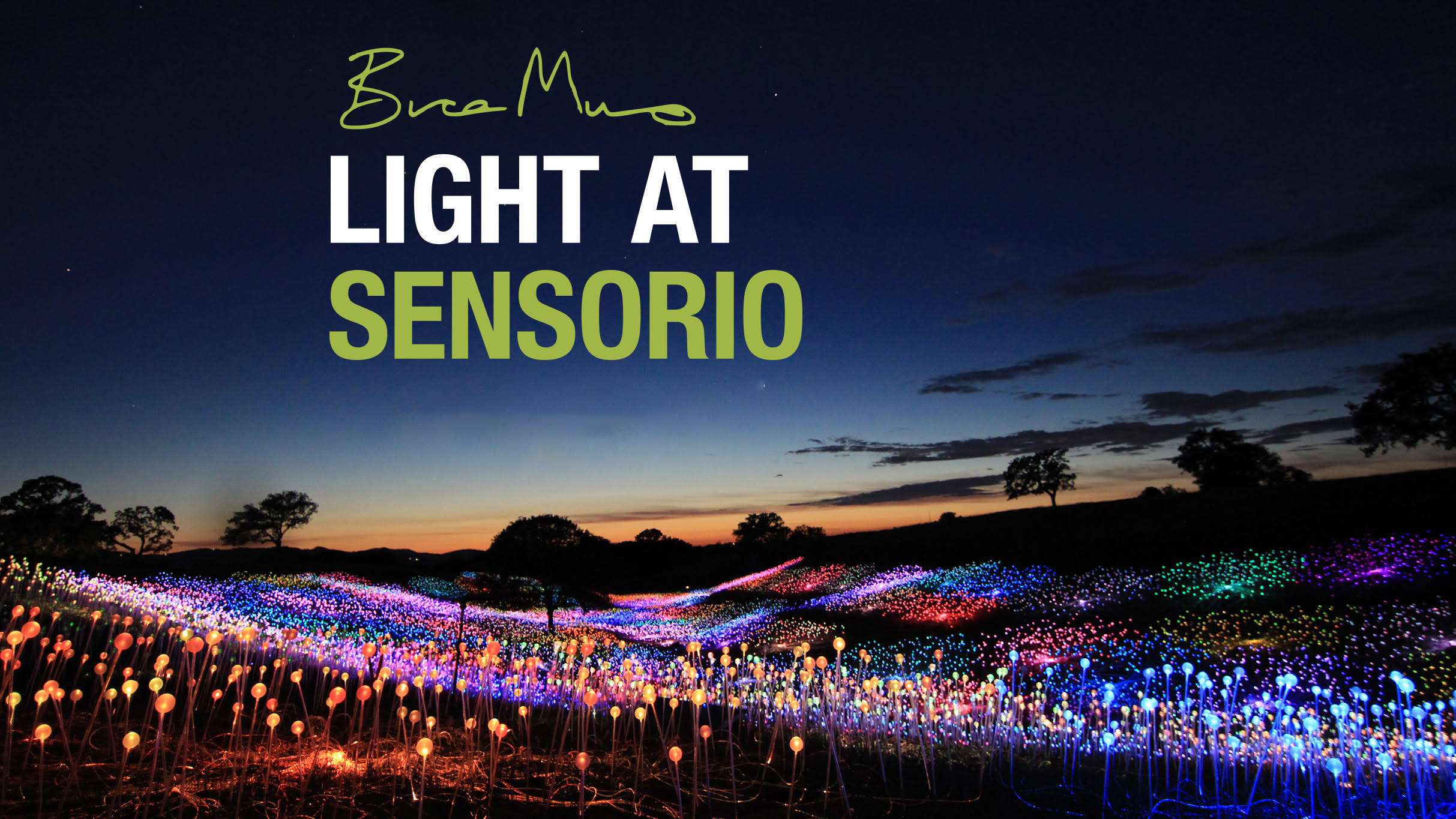 Bruce Munro: Light at Sen­so­rio