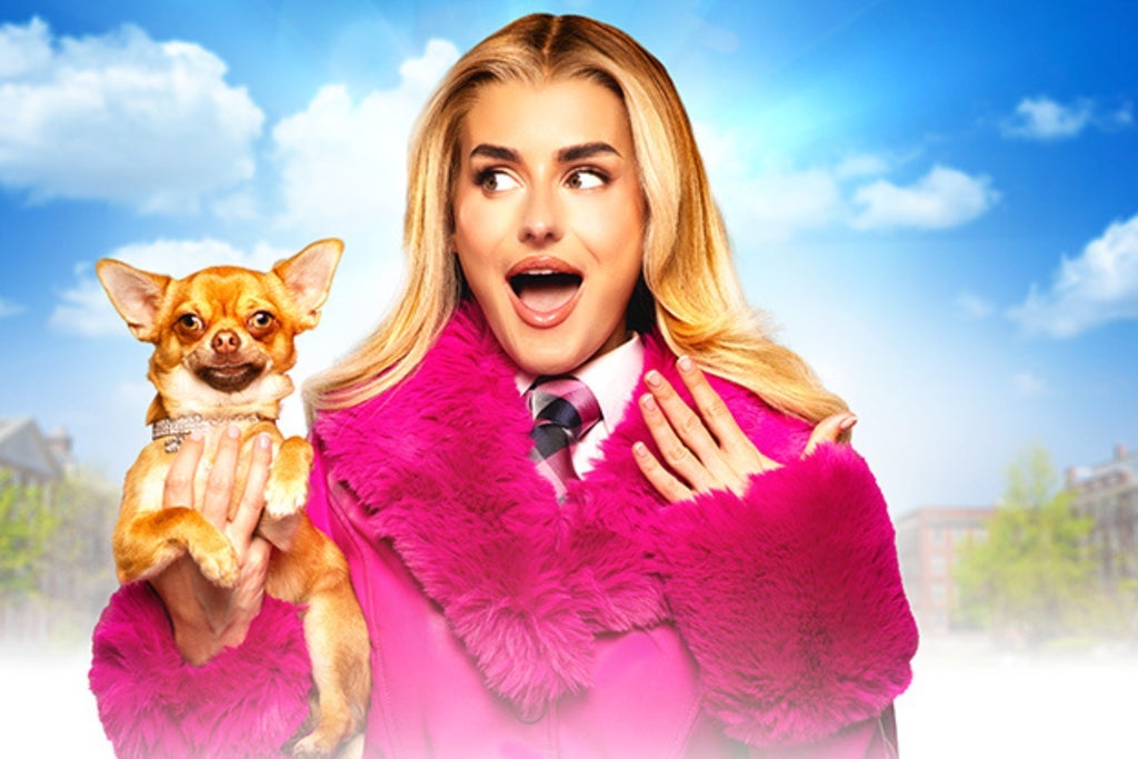 Legally Blonde (Touring)