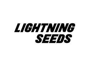 Lightning Seeds, 2024-11-30, Дублин
