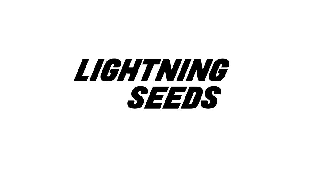 Hotels near Lightning Seeds Events