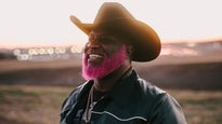 Pynk Beard