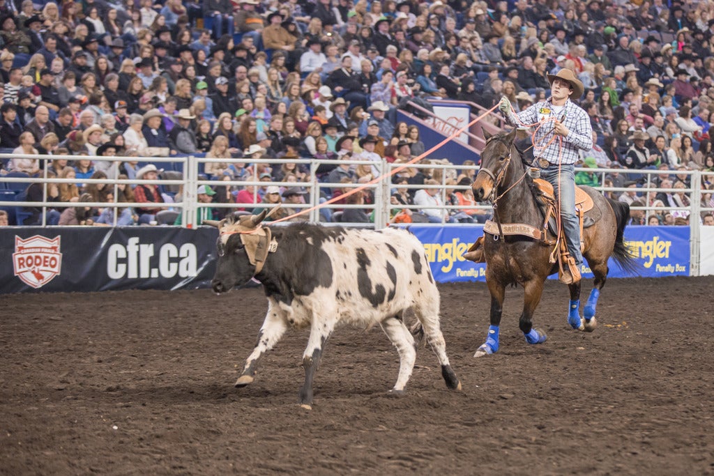 Hotels near Canadian Finals Rodeo Events