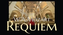 Bohemian Symphony Orchestra Prague in Czechia
