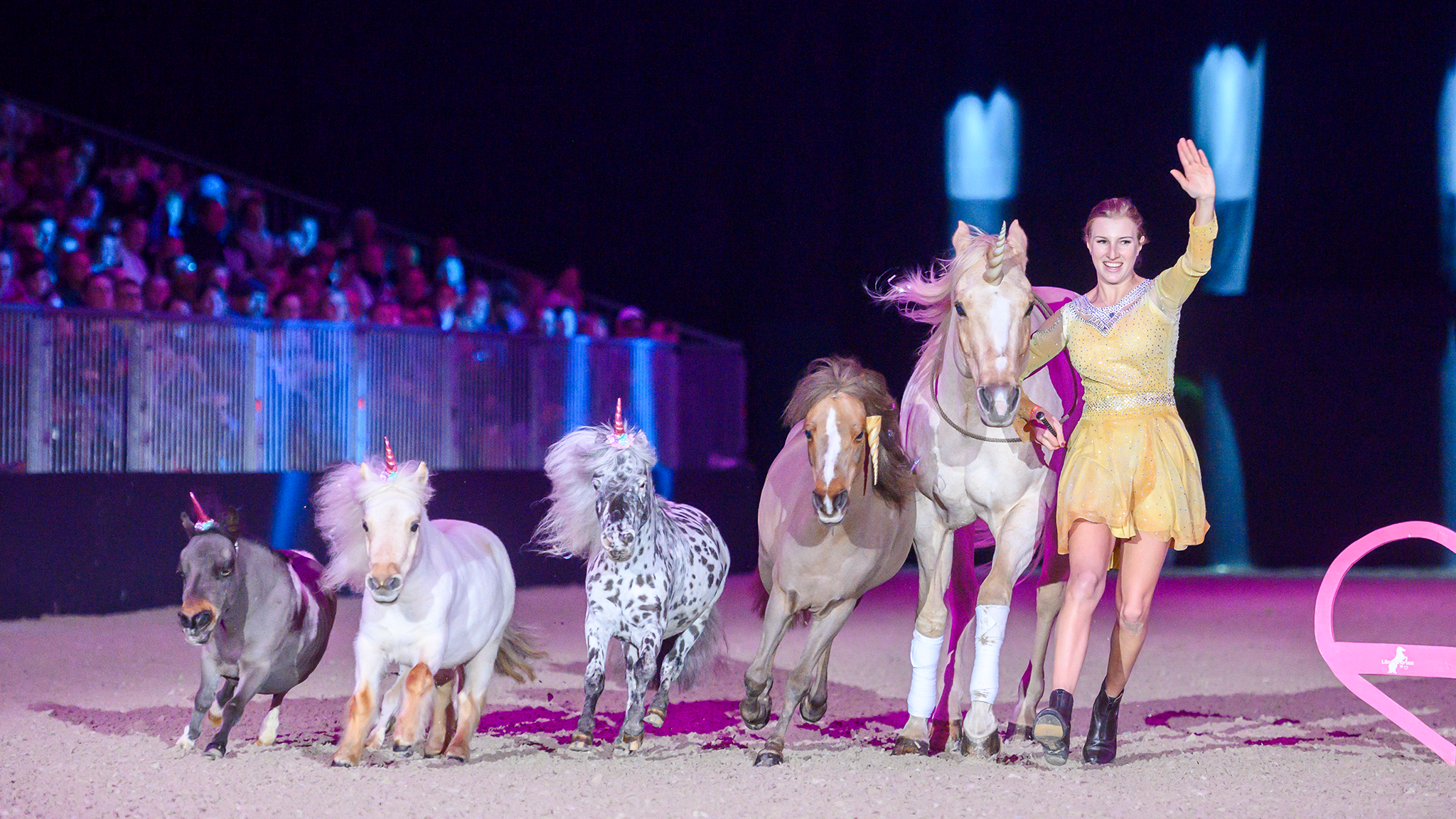 MiMaMo - Die Pferde-Kinder-Pony-Show - SONNTAG
