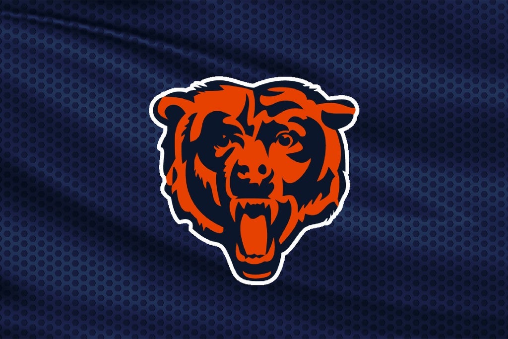 Chicago Bears vs. Jacksonville Jaguars photo 5