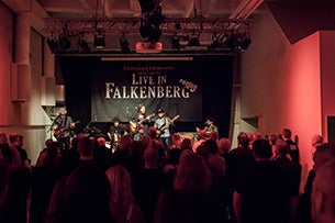 Rootsy Summer Fest 25 FREDAG (endagars)