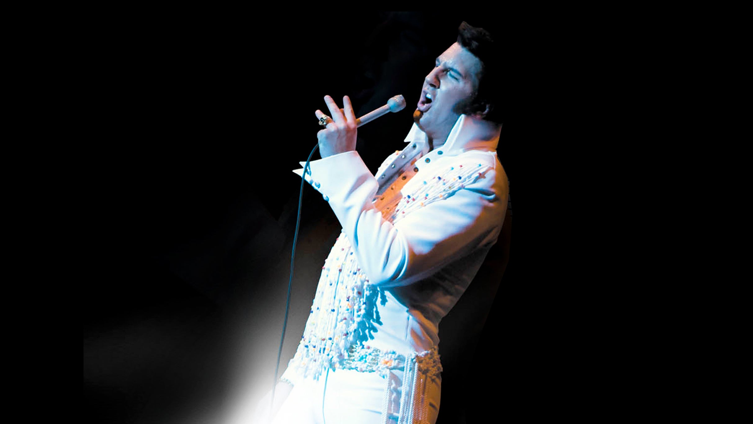 Image used with permission from Ticketmaster | Elvis One Night In Vegas tickets
