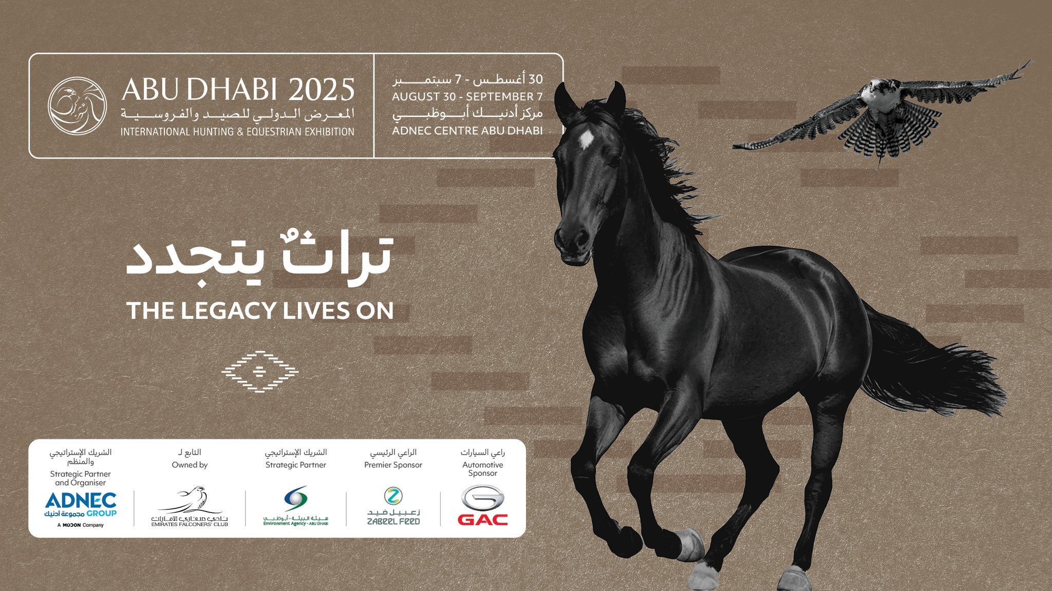 ADIHEX | Group of 8 Pass (30 August - 7 September)