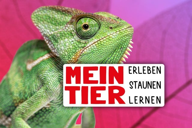 Ticket Reselling Mein Tier Ticket Reselling Mein Tier