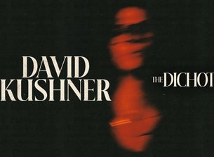 image of David Kushner - The Dichotomy Tour