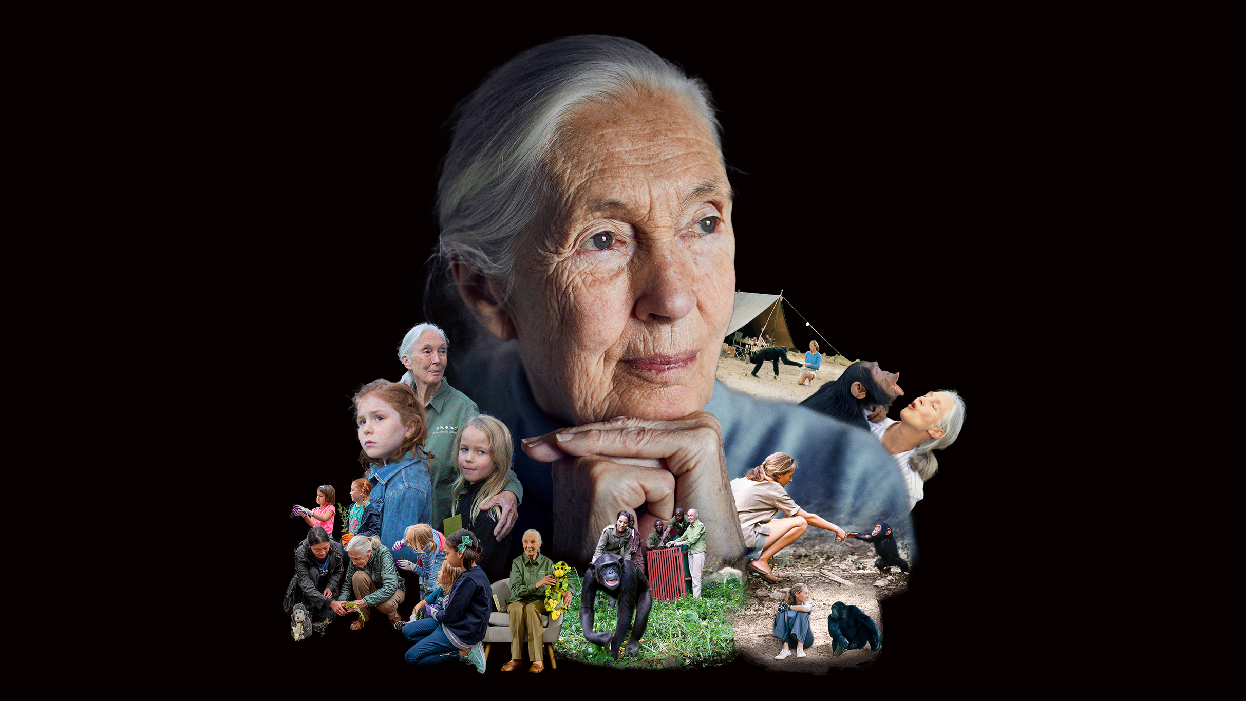 An Evening with Dr. Jane Goodall