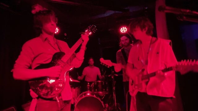 Spare Room, Jade., The Dye, Bogus Rex
