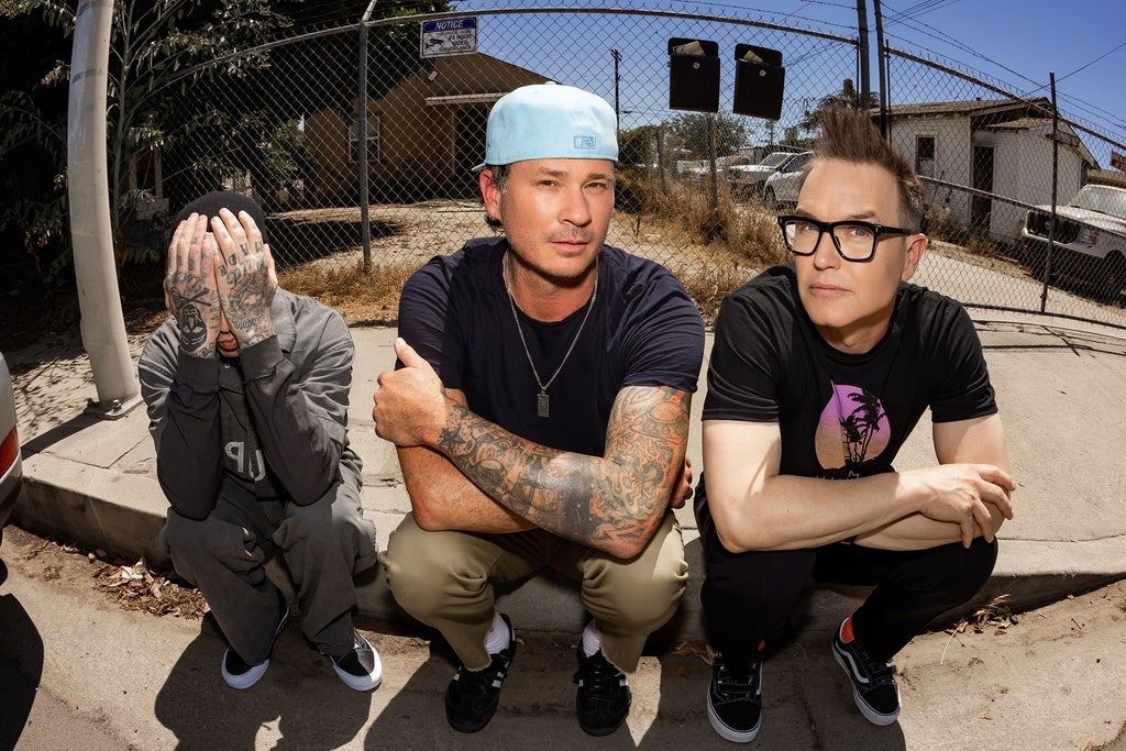 Blink 182 ツアー　パス　レア Blink 182 ツアー パス レア Blink 182 ツアー パス レア Blink 182