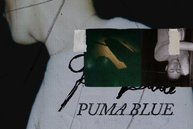Puma Blue