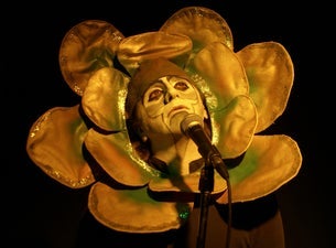 THE MUSICAL BOX - OFFICIAL PLATINUM SEATS