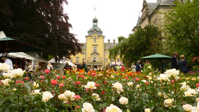 Landpartie Schloss Buckeburg