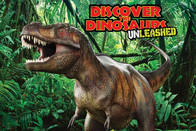 Discover the Dinosaurs UNLEASHED