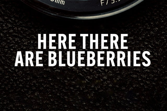 Here There Are Blueberries
