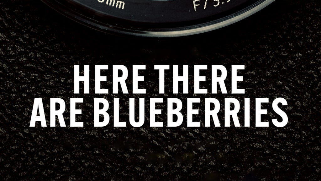 Here There Are Blueberries
