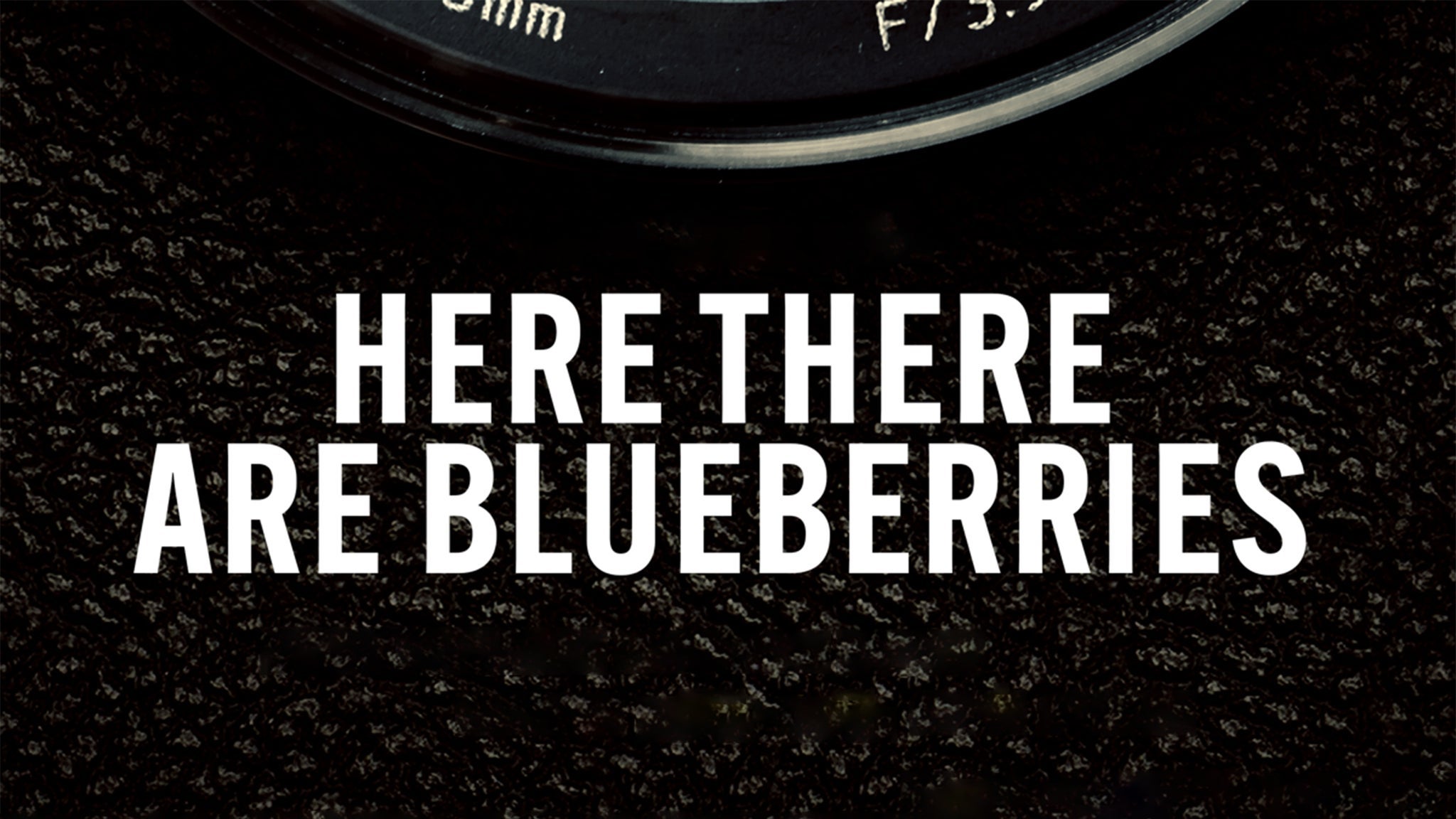 Here There Are Blueberries