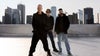 Sting