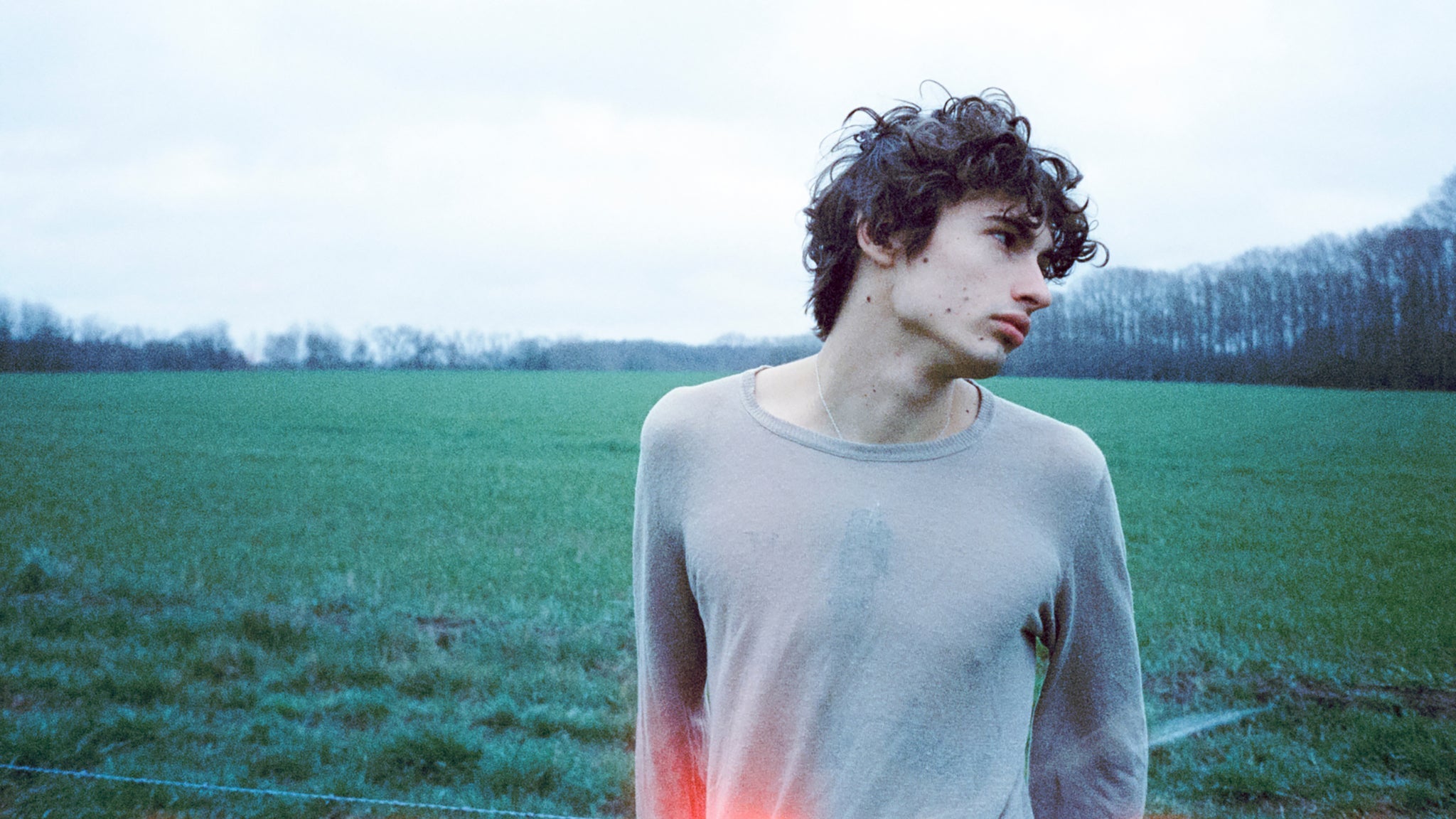 glaive
