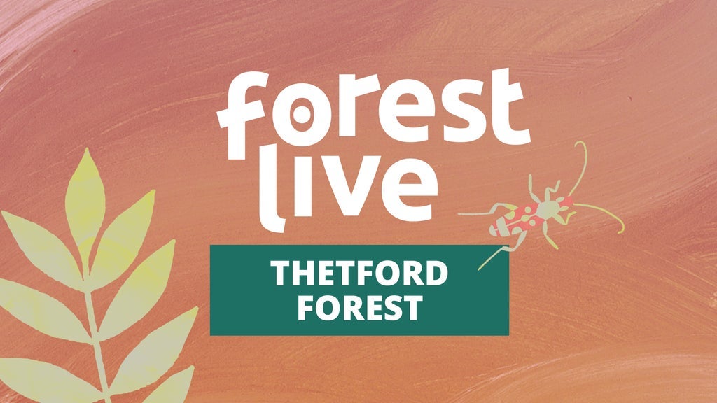 Hotels near High Lodge, Thetford Forest Events