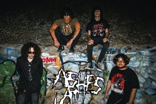 Ashes at Last