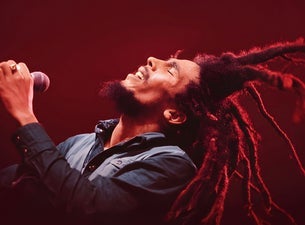 Bob Marley Hope Road The Show concert