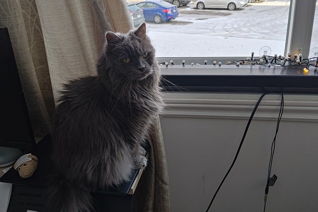 Presale codes for test attracti&ouml;n: members use these when buying pre-sale tickets