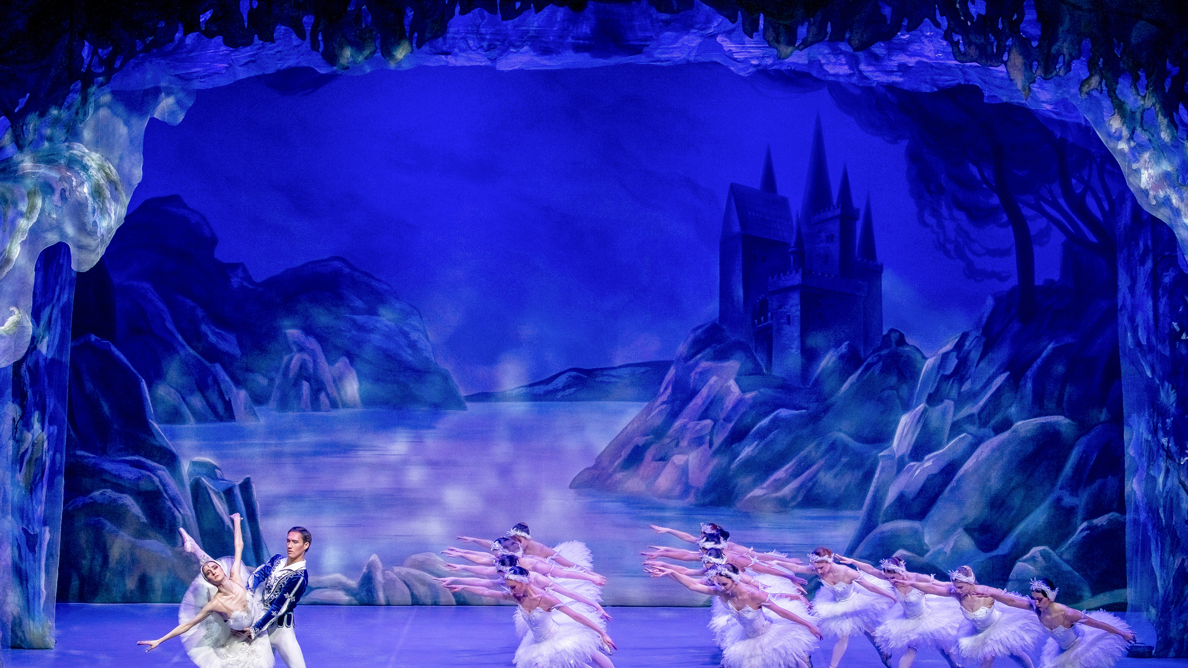 Presale codes for swan lake: members use these when buying pre-sale tickets