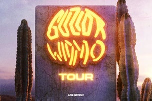 Guzior: WIDMO TOUR