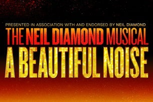 A Beautiful Noise