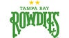 Tampa Bay Rowdies vs. Indy Eleven