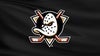 Anaheim Ducks vs. Calgary Flames