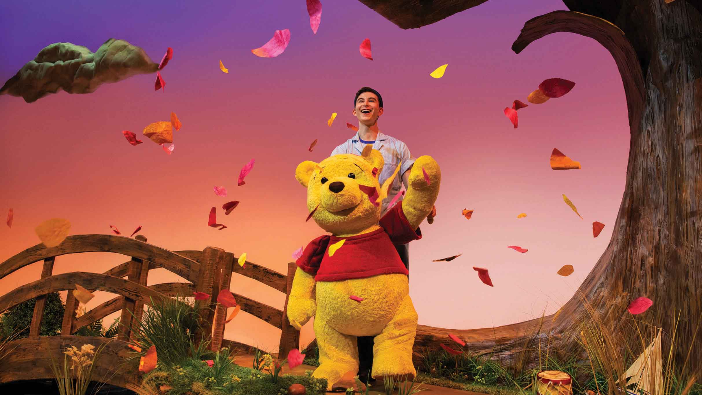 Winnie the Pooh
