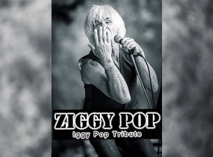 Tribute to Pearl Jam by Dissident  + Tribute to Iggy Pop by Ziggy Pop, 2023-04-01, Вервье