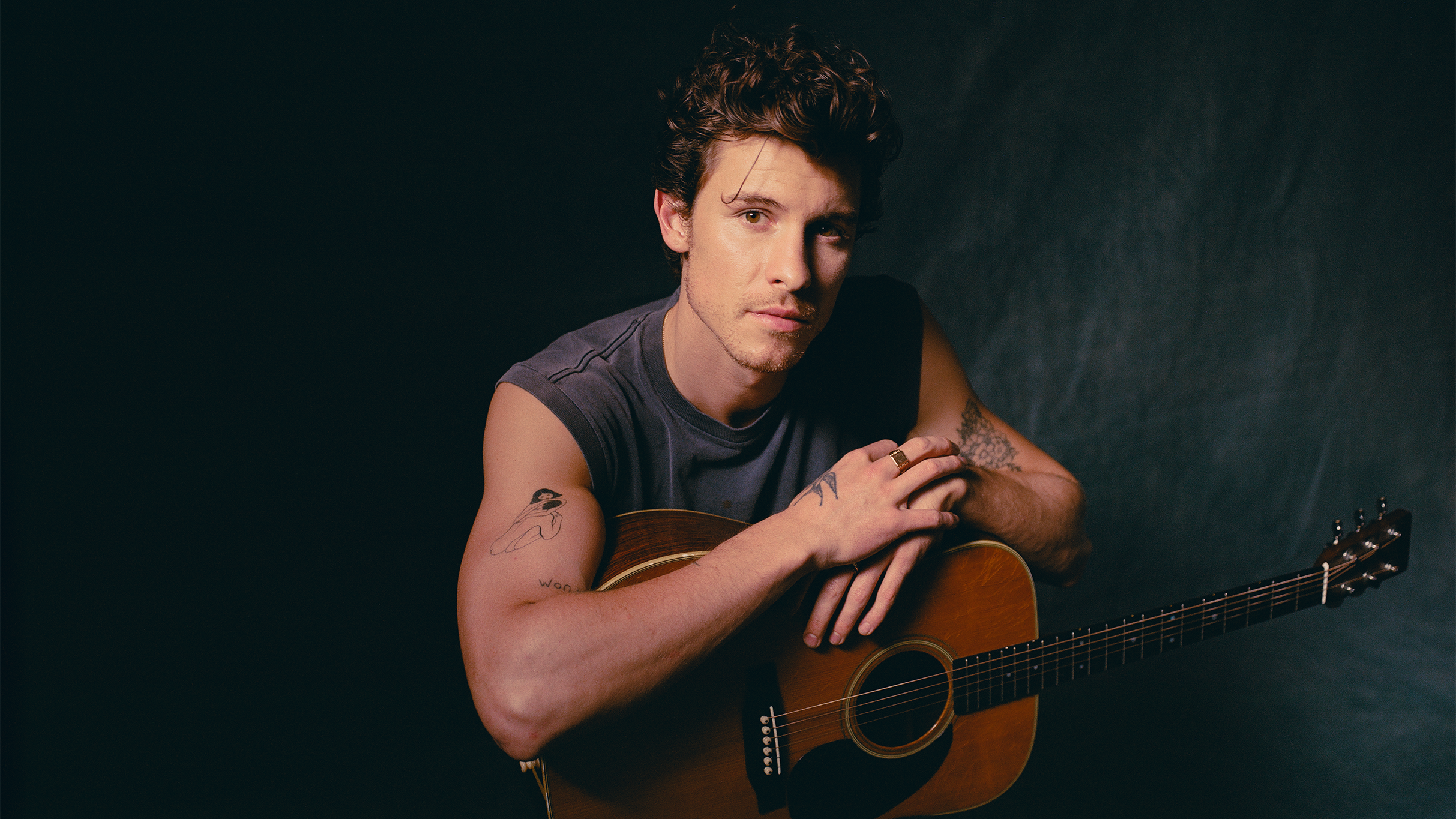 Shawn Mendes - On The Road Again